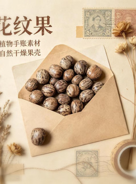 【花纹果】天然植物果实手工diy材料幼儿环创标本收集手工制作