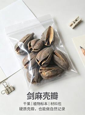 剑麻壳天然植物混合森系DIY手工制作材料干花包迷你装饰真品