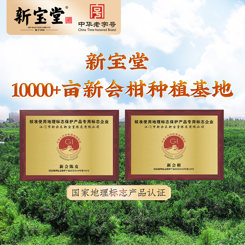 新宝堂十年十五年新会陈皮龙蟠冈州甲辰金龙瓶礼盒200克