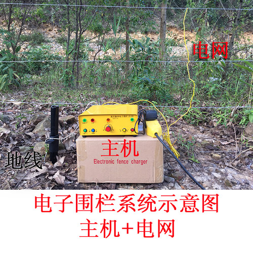脉冲电子围栏主机 牧场牛羊专用养殖电网电子围栏系统整套 电围栏 - 图1