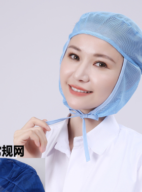 食品车间头套透气全网夏季防掉发