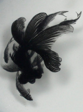 生日礼品送老师长辈禅意香薰摆件