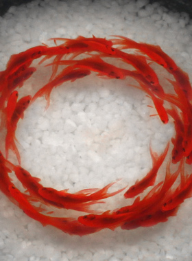 手工彩绘创意摆件公司开业礼品