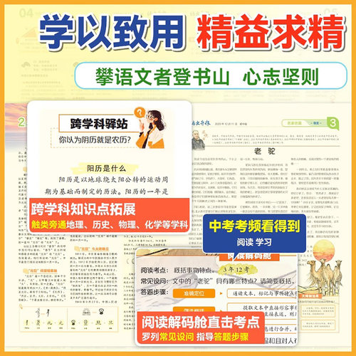 【新学期】必刷题语文导报小学/初中/高中学习报纸2026年春季学期+秋季学期订阅1-6年级中考高考作文素材杂志阳光少年报2025过刊 - 图2