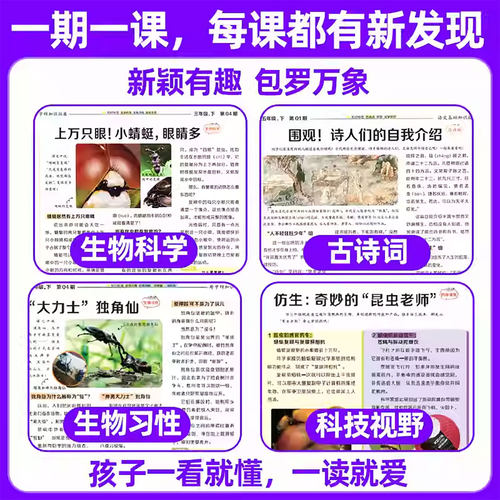 2026年1-6期现货速发【春/秋季学期订阅】大语文知识画报少年快乐学习报纸杂志全年半年一二三四五六123456年级天星教育非2025过刊 - 图3