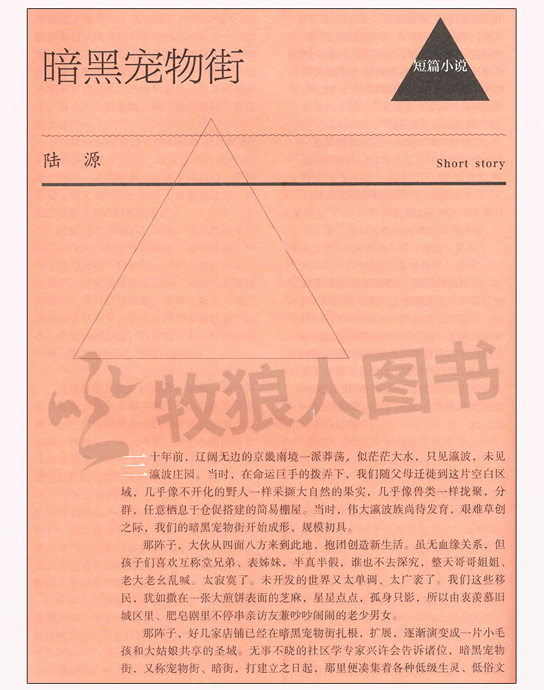 花城杂志2024年5-6月3期（1/2期/全年订阅/2023年）随笔双月刊散文诗歌学生读物人物传记中篇长篇小说月报文摘过刊【单本】 - 图3