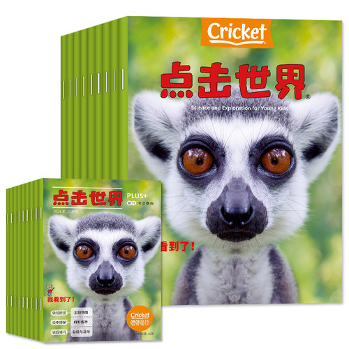 【全新过刊处理】蟋蟀童书Click点击世界杂志2024年现货 少儿英语启蒙3-6岁非2025过刊 - 图0