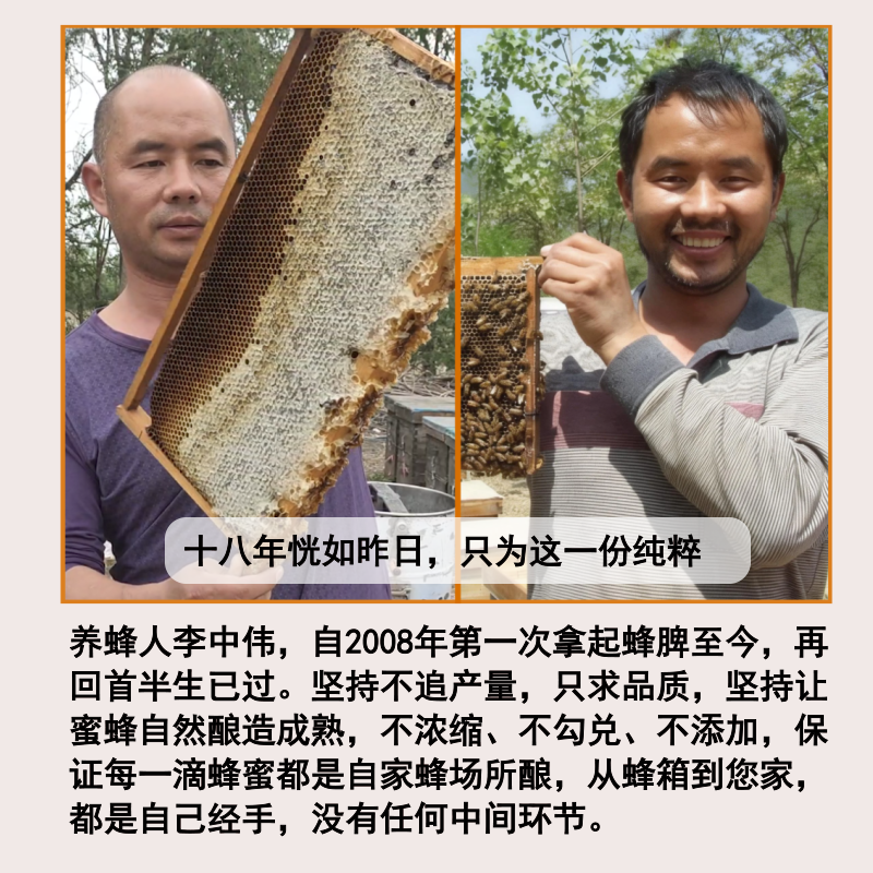 【农家自产】2024年荆花蜂蜜熬夜解酒费脑用42.2度  43度荆条原蜜