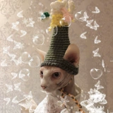 Hua Chenyu [Perper Tyme Aparach] Руковолочный уши с ушами шляпные парики головных уборов парики для кошек, чтобы сфотографироваться