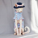 Рука -Стигание милые, пылающие уши, глаза, шляпа, шляпы, украшения для головы, безволосы