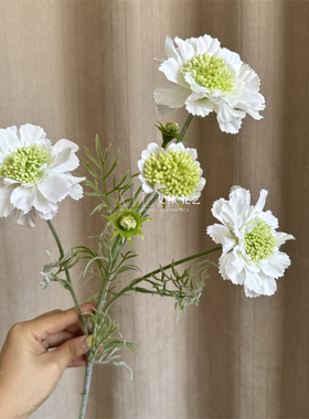 2新款轮峰菊仿真花假花摆件