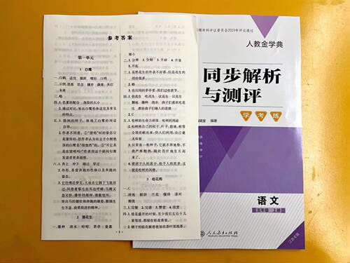 2025年秋人教金学典同步解析与测评学考练 语文 五年级5年级上册含参考答案小学同步课时作业随堂随文练习 - 图0