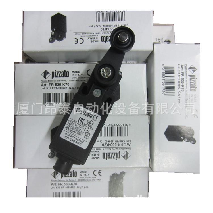FG 60PD1D0Z-F21 FG 60PD1D0Z-F22 意大利微动开关 - 图3