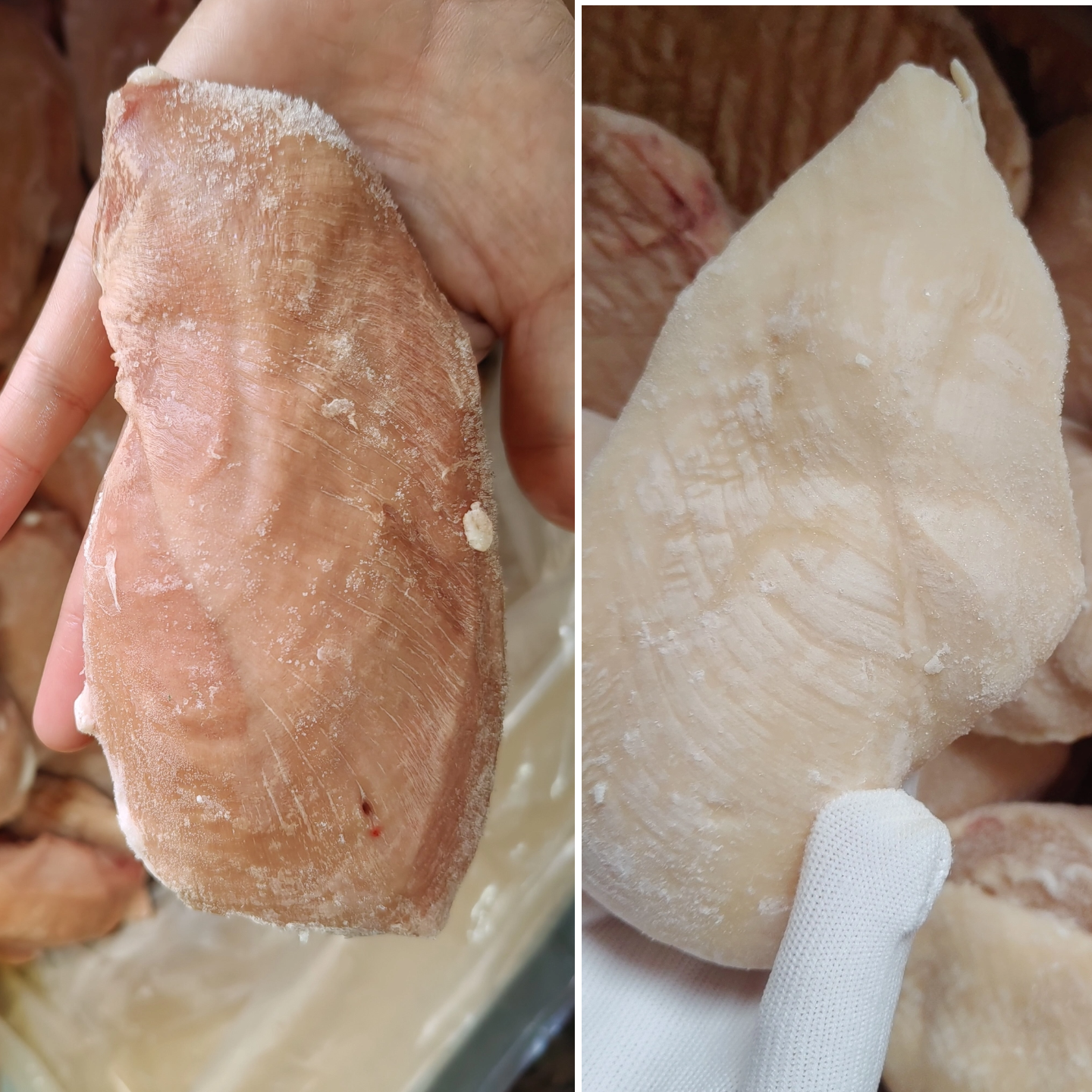 冷冻鲜鸡胸肉去皮鸭胸肉健身低脂鸡脯肉猫狗粮宠物鸡胸鸭胸肉混装,淘宝优惠券,粉丝福利购,淘宝优惠卷