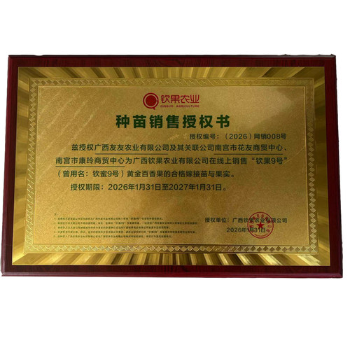 广西纯甜黄金百香果树苗1米高特大百香果苗阳台盆栽种植四季结果 - 图1