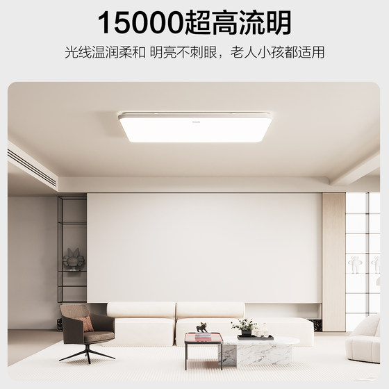 Philips 1.1m large living room lamp Mijia smart