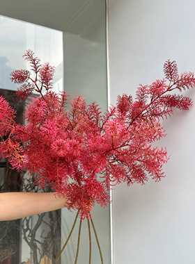 英伦欧堡新款婚庆仿真花蓬莱松紫色雪松婚礼吊顶路引软装团雾假叶