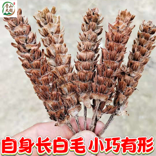 2026新货武当夏枯草中药材野生白毛夏枯球凉茶夏菇草500g无熏硫 - 图1
