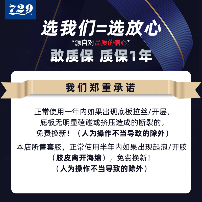 友谊729胶皮乒乓球套胶奔腾2蓝海绵省队套胶专业粘性反胶弧圈快攻-图2