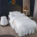 Cao cấp làm đẹp giường bao gồm bốn bộ massage màu rắn cơ thể đơn giản làm đẹp thẩm mỹ viện trải giường đẹp giường đặt tùy chỉnh - Trang bị tấm