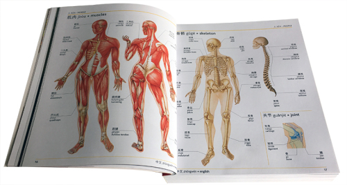 DK中英双语彩色插图图解词典MandarinChineseEnglishBilingualVisualDictionaryDK小百科字典成人儿童英语学习资料