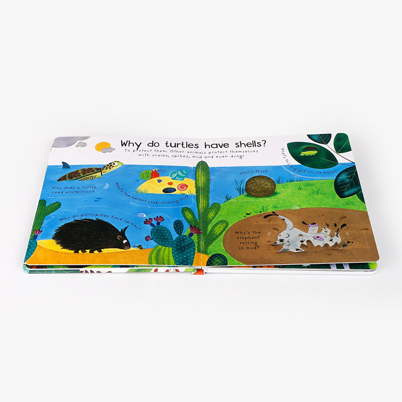 英文原版Why Do Tigers Have Stripes?为什么老虎身上有条纹 Usborne出版你问我答翻翻书3-5岁低幼儿童英语启蒙认知科普绘本图画书