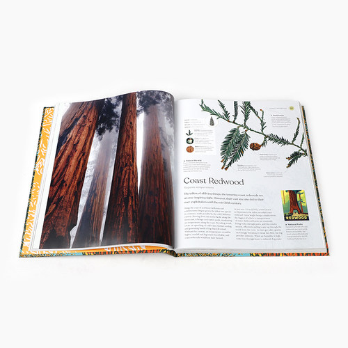 英文原版 The Tree Book 树书 风景摄影画册植物学自然科普书籍 DK Eyewitness Travel出版社 科普百科STEAM读物 精装 - 图1