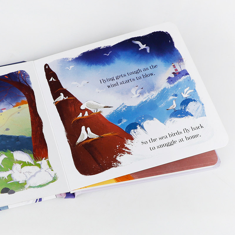 英文原版The Stormy Day狂风暴雨的一天 Usborne尤斯伯恩出版低幼儿童英语启蒙绘本亲子幼儿认知天气图画书Little Board Books系列
