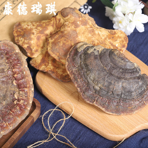 整枝野灵芝500g长白山深山赤灵芝赤芝无柄灵芝灵芝粉泡水泡酒煲汤 - 图2