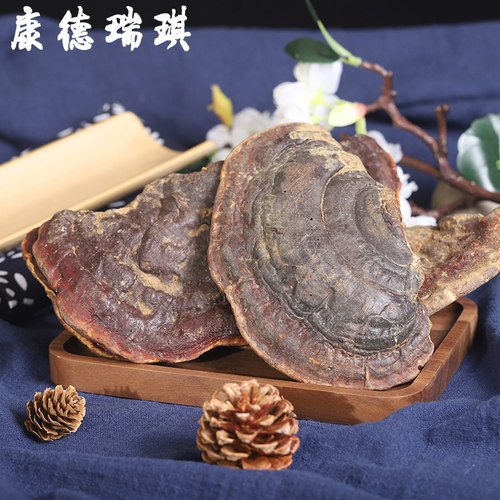 整枝野灵芝500g长白山深山赤灵芝赤芝无柄灵芝灵芝粉泡水泡酒煲汤 - 图0