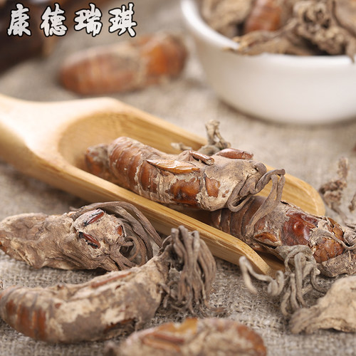 50克金蝉花中药材官方旗舰店土蝉花蝉草蝉菌蝉花虫草深山野金蝉花 - 图1