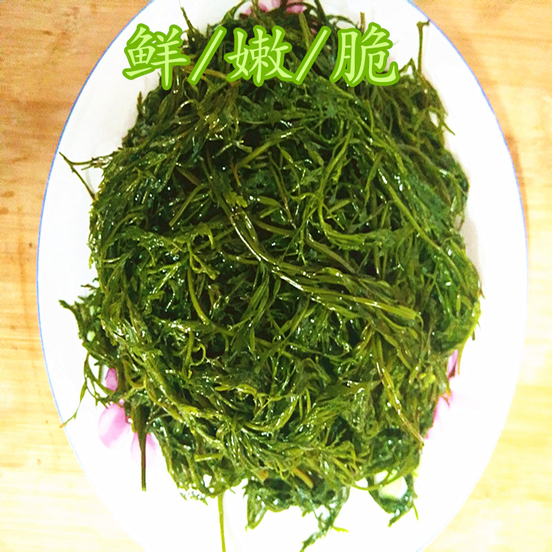 荣成盐渍新鲜马尾藻海草龙须菜鞭炮竹长寿菜碱性海藻酒店食材5斤 - 图0