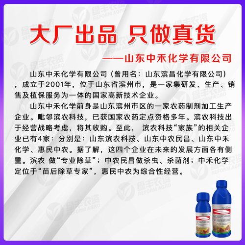30%二氯吡啶酸莠去津红高粱田专用苗后除草剂稗草阔叶杂草烂根剂 - 图1