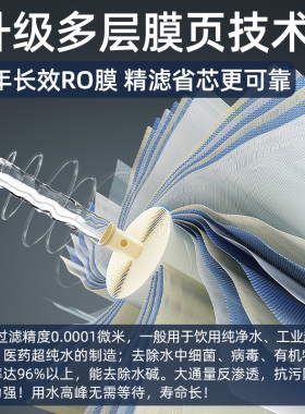 1200G直饮惠安特反渗透