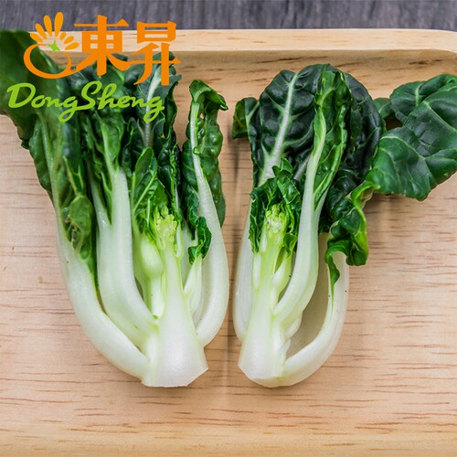 东升农场 供港宁夏斗白苗 鹤斗白苗 矮脚奶白菜苗 火锅食材250g - 图1