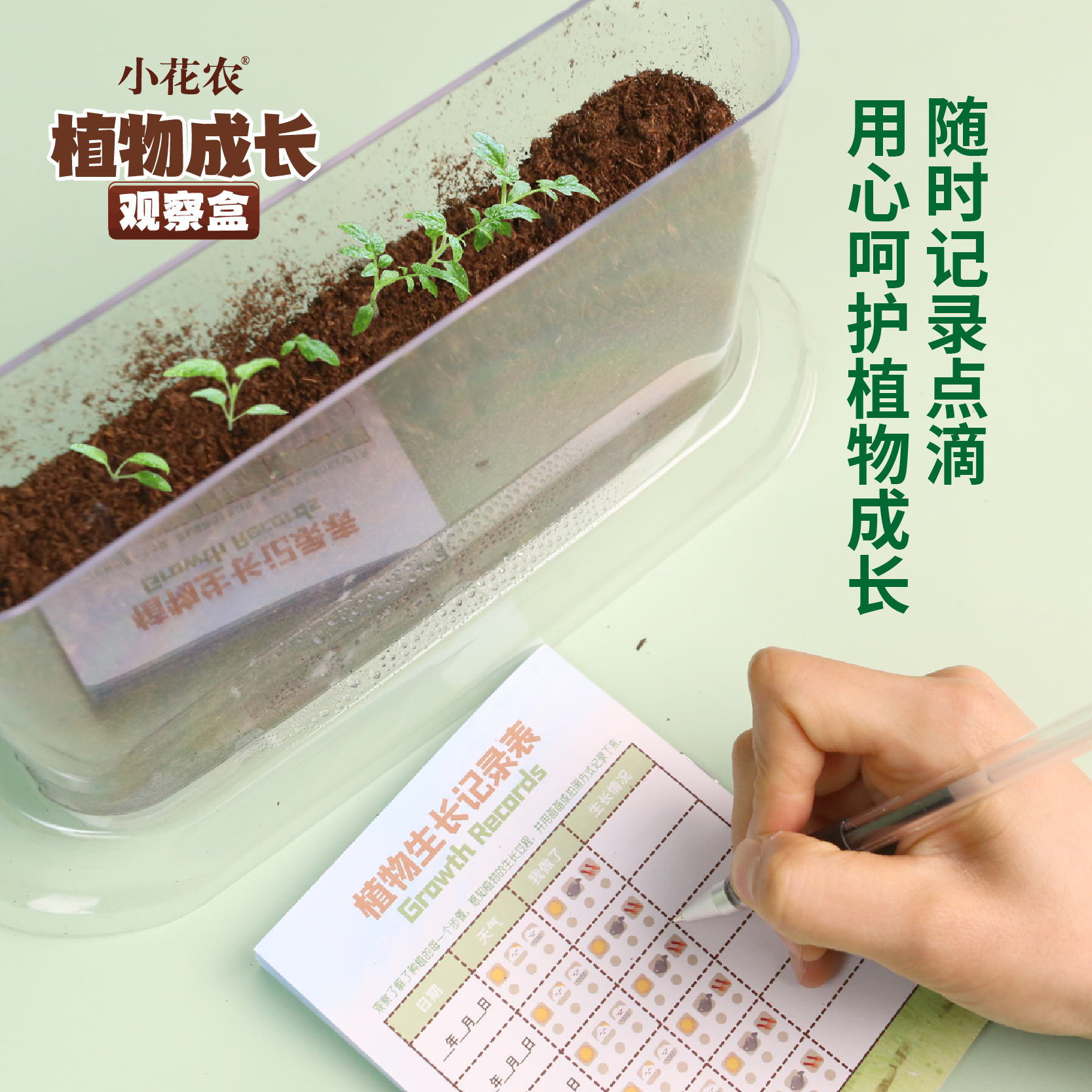 儿童种植观察盒小盆栽小农场神奇创意迷你植物发芽根系生长观察窗 - 图0