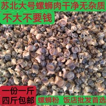 Subei Fresh Large Farm State Snail Meat Screw Powder Fields Snail Meat Vacuum Packing A catty of 4 catties