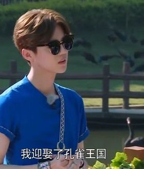 奔跑吧兄弟鹿晗同款太阳镜