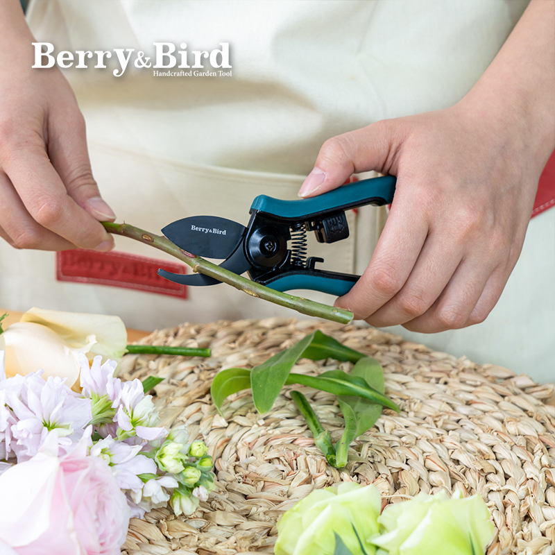 BerryBird不锈钢尖头盆景专用剪刀虹越庭院修剪细枝园艺剪花工具 - 图2