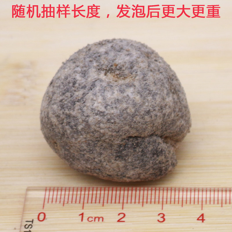 马来西亚特产淡干海参进口野生珍珠海参干货圆球海参天然球参500g_虎窝淘