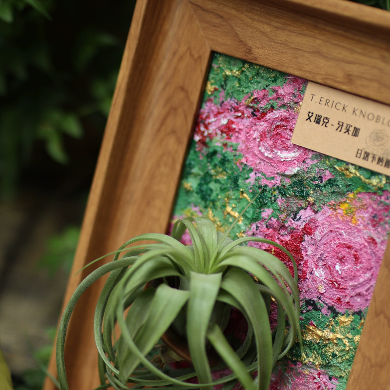 《日落下的蔷薇》室温原创油画空气凤梨艺术生日礼物装饰懒人植物,淘宝优惠券,粉丝福利购,淘宝优惠卷