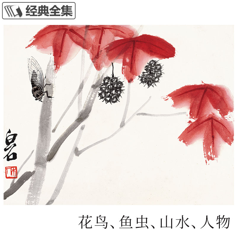 经典全集 齐白石画集 一卷花鸟 8开画册写意范本书籍虫草牡丹荷花中国画零基础入门临摹少儿童技法教材教程 杨建飞主编 - 图3