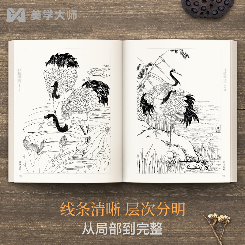 美学大师 白描画谱 禽鸟篇 中国工笔技法画册集书籍入门初自学者零基础教程材成人手绘临摹勾线名家底稿图大全美术绘画 - 图3