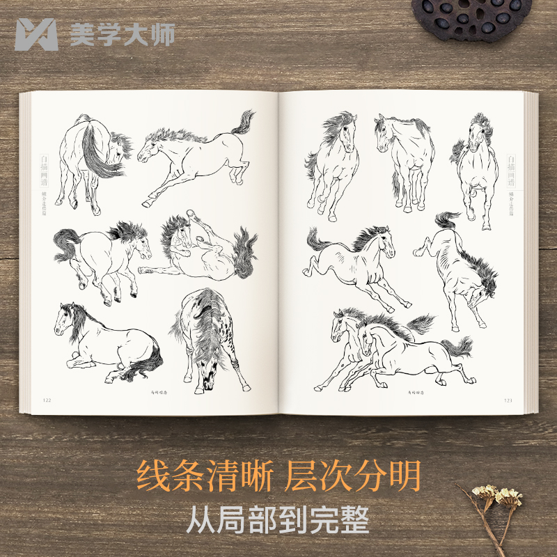 美学大师 白描画谱 鳞介走兽篇 中国工笔技法画册集书籍入门初自学者零基础教程材成人手绘临摹勾线名家底稿图大全美术绘画 - 图3