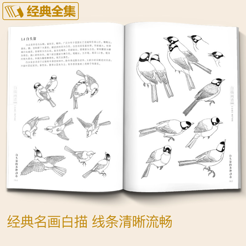 经典全集  白描画谱5000例中篇·禽鸟走兽勾线描荷花卉临摹图谱书籍手绘自学零基础初学者技法入门到精通工笔高清底稿成人教程,淘宝优惠券,粉丝福利购,淘宝优惠卷