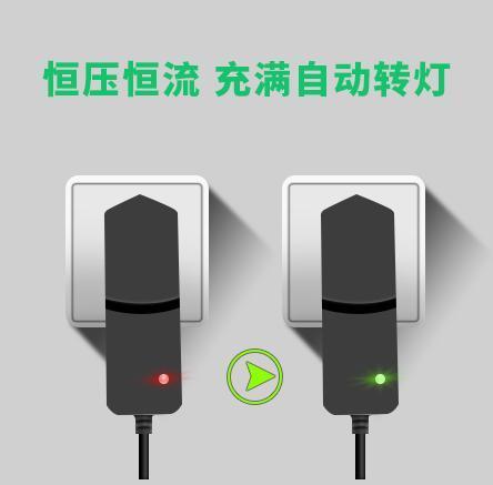 12V16.8V18V21V25V1A2A电钻直充手枪钻电螺丝刀扳手锂电池充电器 - 图1