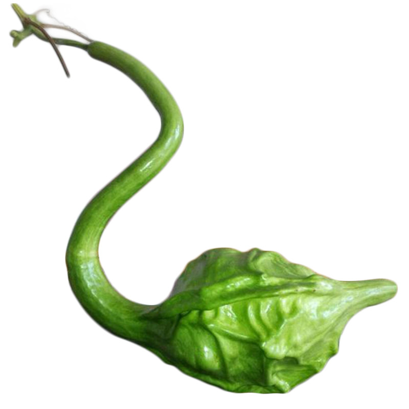 鹤首葫芦种籽文玩长柄狼牙棒葫芦种子家庭阳台盆栽观赏葫芦籽春夏,淘宝优惠券,粉丝福利购,淘宝优惠卷