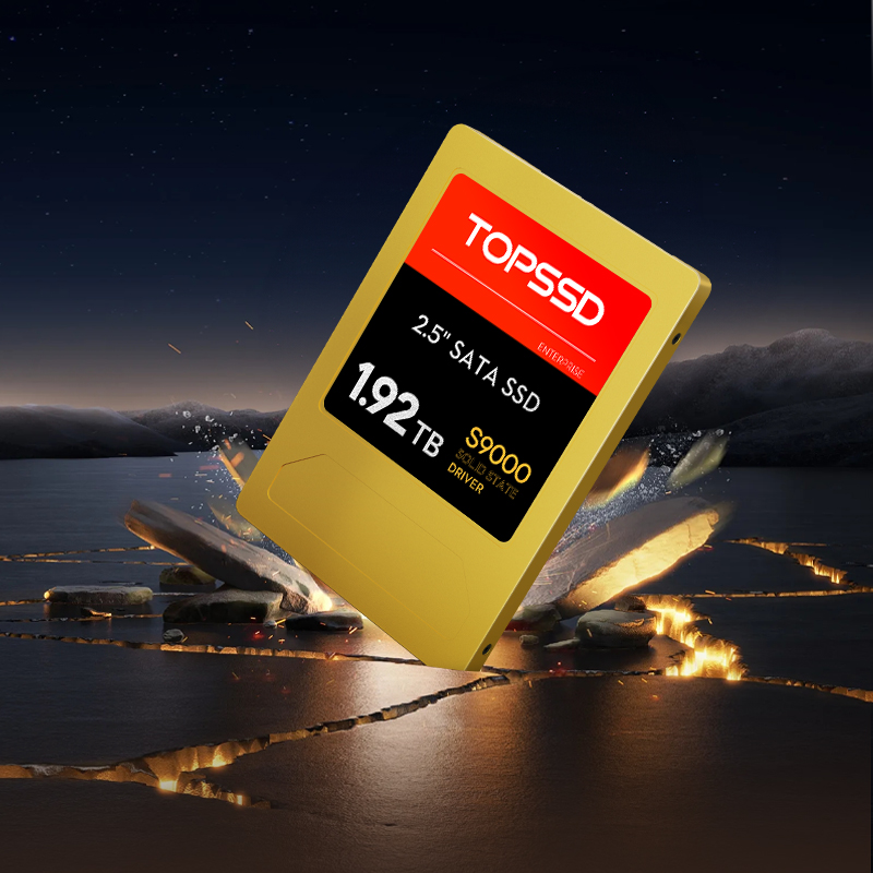 天硕(TOPSSD) S9000系列国产化企业级2.5