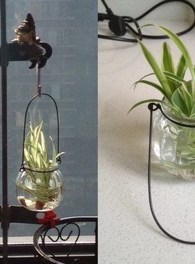 南瓜吊瓶南瓜瓶玻璃水培容器插花瓶水培吊瓶植物吊瓶花盆