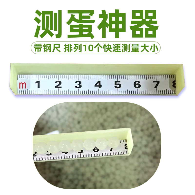 水弹快速测量器滤网套装新手两件套免卡尺超方便测蛋器大号滤水网,淘宝优惠券,粉丝福利购,淘宝优惠卷